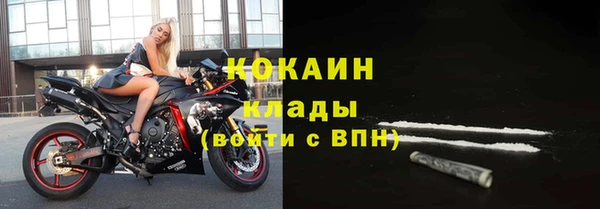 метадон Ельня