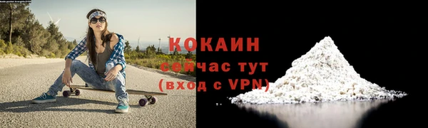 метадон Ельня