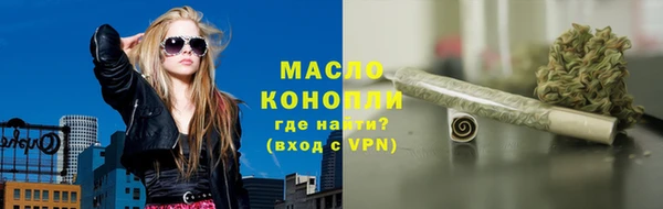 стаф Елабуга