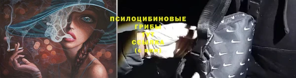 стаф Елабуга