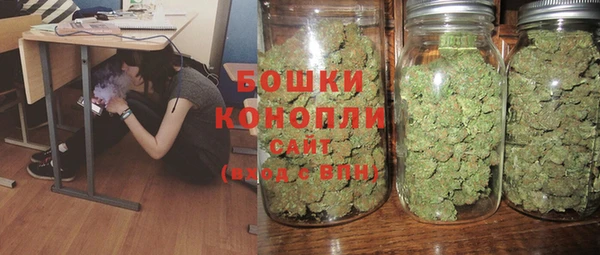 стаф Елабуга