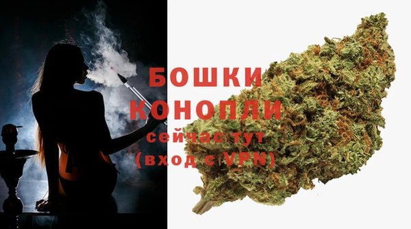 стаф Елабуга