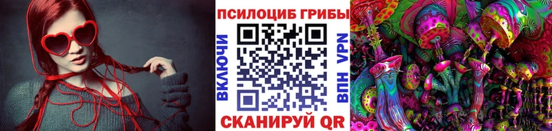 Галлюциногенные грибы MAGIC MUSHROOMS  Купить где  Касимов 