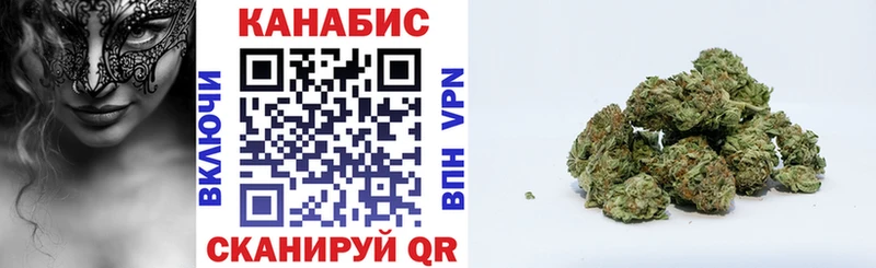 Каннабис OG Kush  Купить закладки  Касимов 